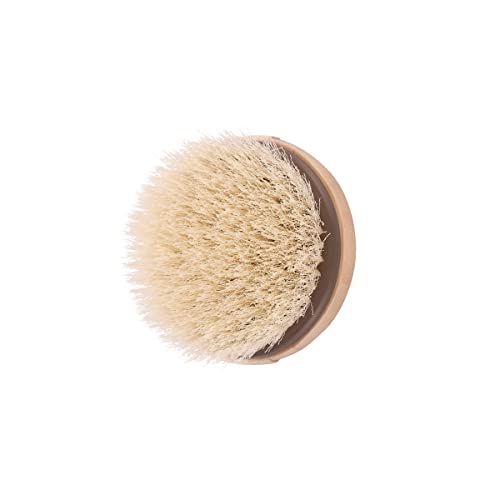 Dry Body Brush | Sustainable Personal Care