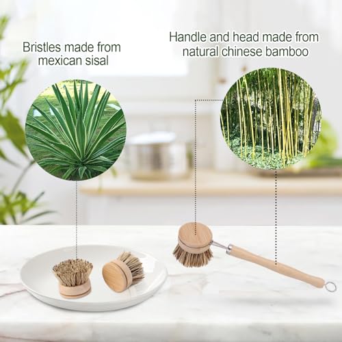 Refill: Bamboo Dish Brush - Hard Brush 4 Replacement Heads