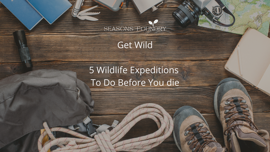 5 Wildlife Expeditions You Should Do Before You Die