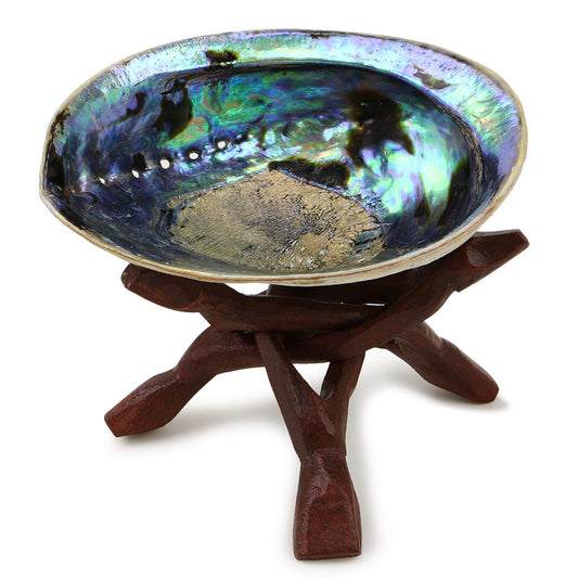 Natural Abalone (Pāua) Shell with Wooden Stand for Smudging | Sustainable Home Decor